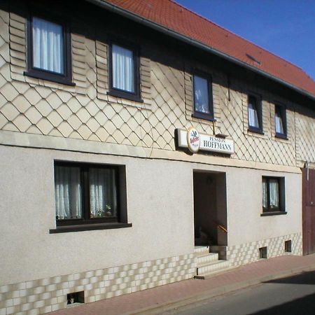 Pension Hoffmann Trebra Exteriér fotografie