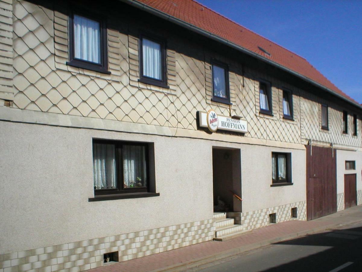 Pension Hoffmann Trebra Exteriér fotografie